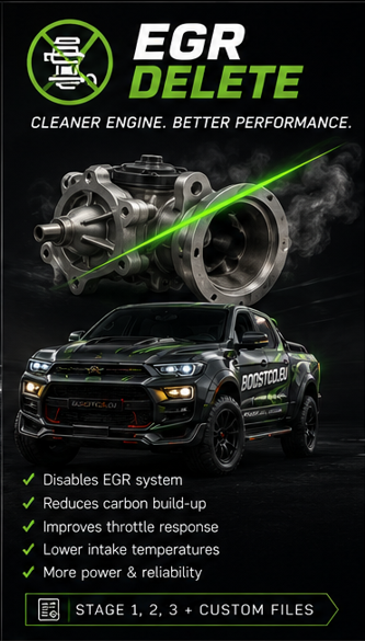 EGR delete file service (cars and light commercial vehicles under 3500kg GVW)